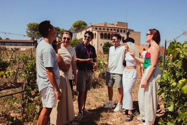 Montserrat & Cogwheel Train, Gourmet Wine Tasting & Tapas/Lunch