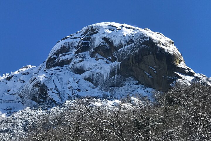 Sequoia National Park Tour from Wuksachi Lodge