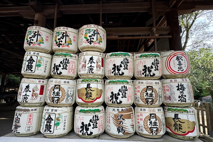Nara: Half-Day Private Tour of 4 Must-See Spots & Deer Park