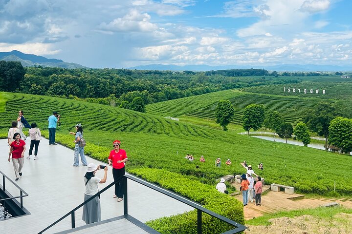 Chiang Rai: Discover 7 Must-See Spots & Lunch Buffet