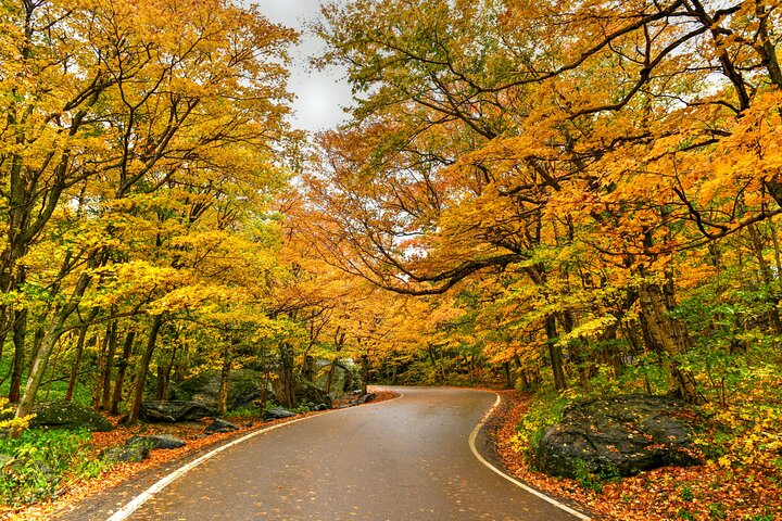 Vermont RT 100 App-Guided Driving Audio Tour