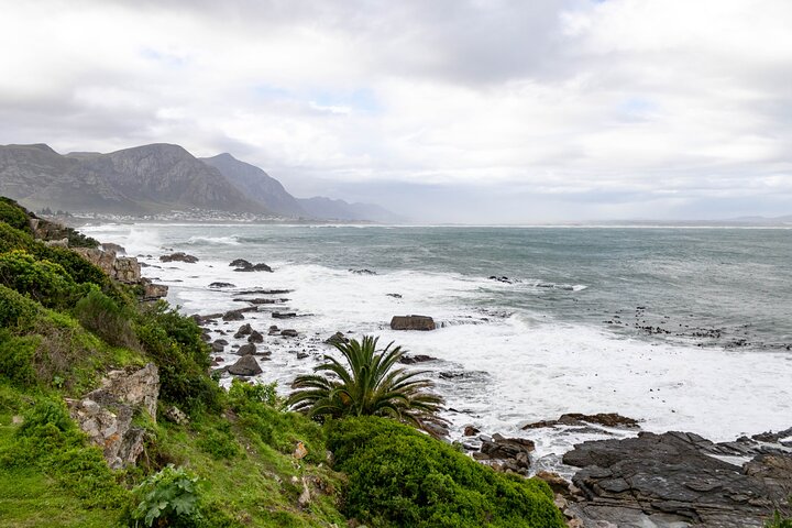Private Full Day Hermanus Tour