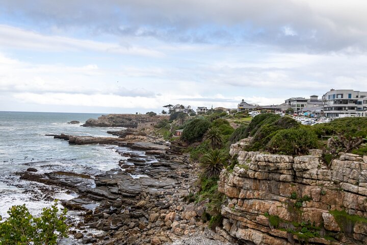 Private Full Day Hermanus Tour