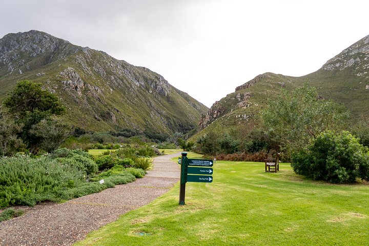 Private Full Day Hermanus Tour