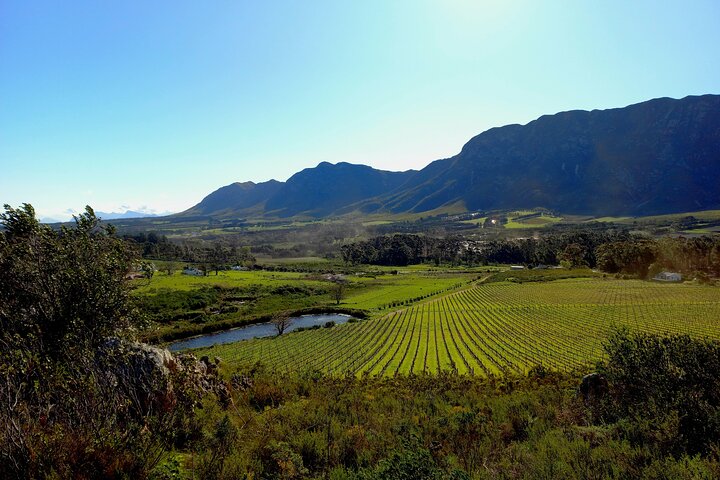 Private Full Day Hermanus Tour