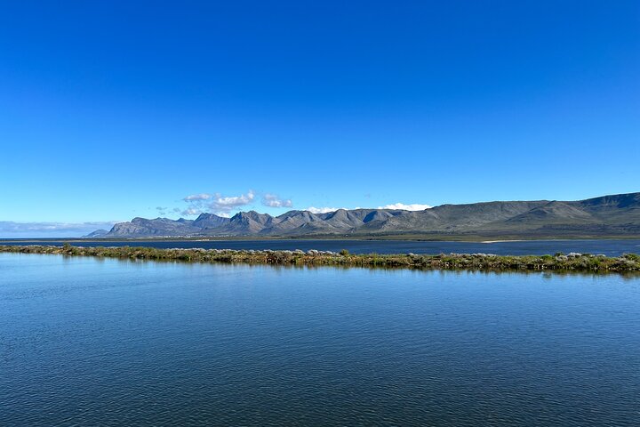 Private Full Day Hermanus Tour