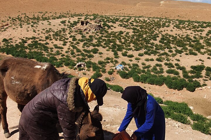 Hike & Overnight With Nomads Families