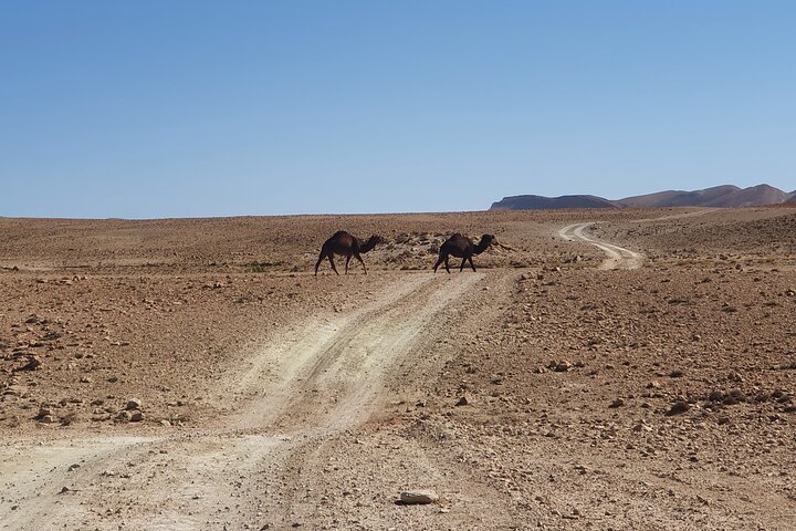 Hike & Overnight With Nomads Families
