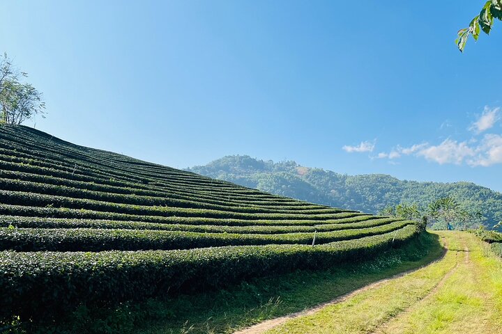 Chiang Rai: Discover 7 Must-See Spots & Lunch Buffet