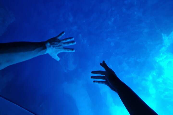 BLUE CAVE & 5 islands tour from Hvar