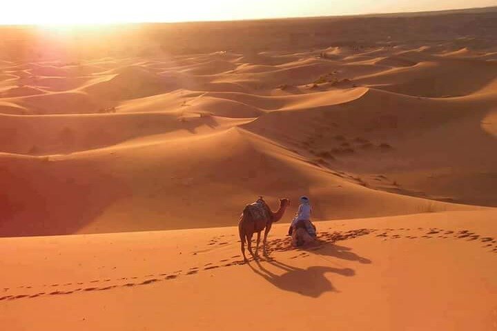 3 days in the desert on the back of a dromedary