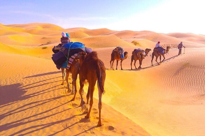 3 days in the desert on the back of a dromedary
