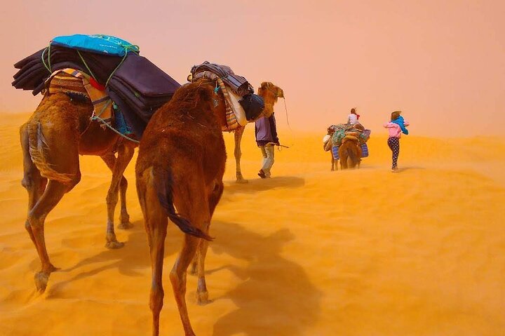 3 days in the desert on the back of a dromedary