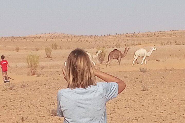 3 days in the desert on the back of a dromedary