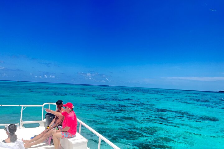 3-Stop Stingray City, Reef Snorkel & Starfish Point Tour