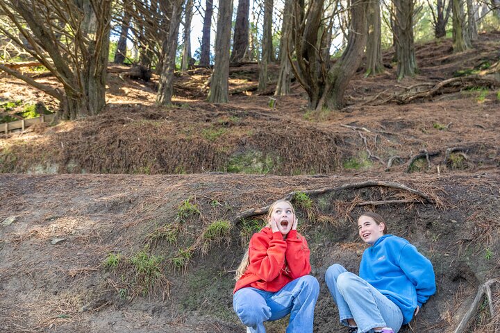 Lord of The Rings Full Day locations tour incl Weta & keepsake