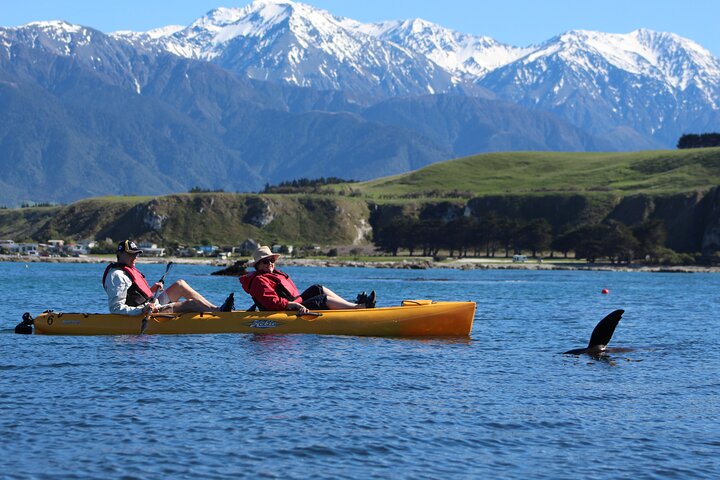 Private Seal Kayaking and Wildlife Tour in Kaikoura
