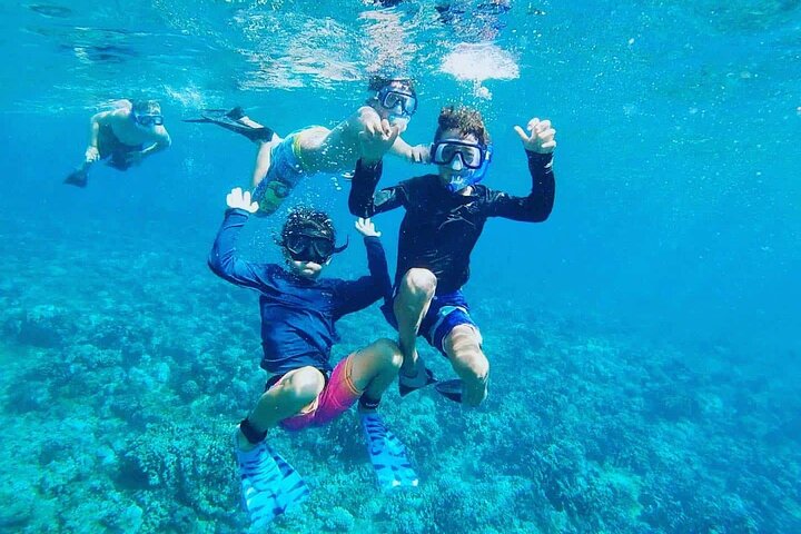 Dimaniyat Islands Snorkeling Tour