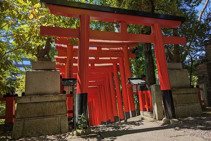 Guided Tour of Nagoya by Car