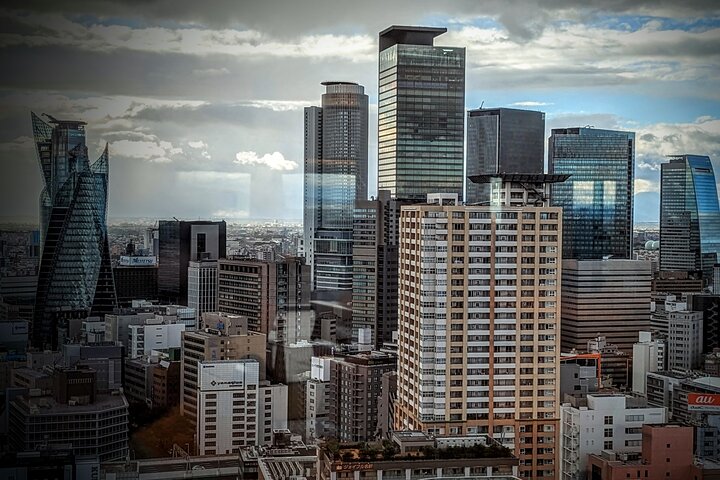 Guided Tour of Nagoya by Car
