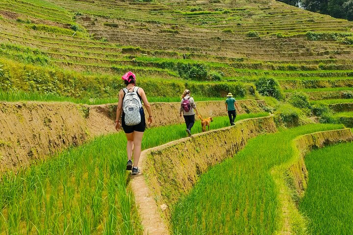 Full Day Private Trekking Mu Cang Chai