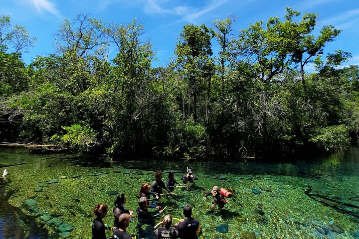 Skip the Line:Recanto Ecologico Rio da Prata Ticket including Trail & Snorkeling