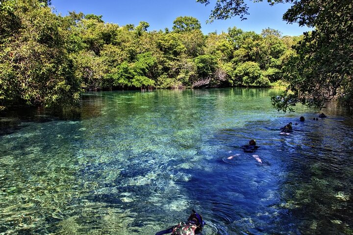 Skip the Line:Recanto Ecologico Rio da Prata Ticket including Trail & Snorkeling