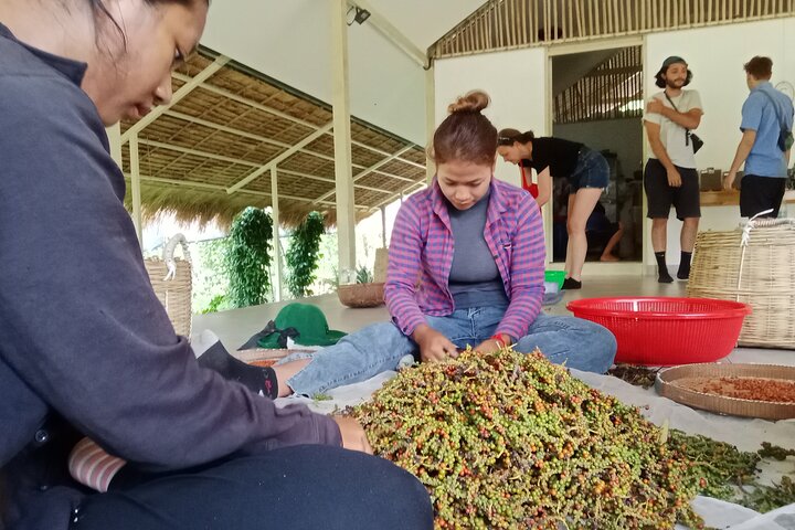 KAMPOT: Pepper farm. Cave. Secret Lake. Kep Crab market & Salt..