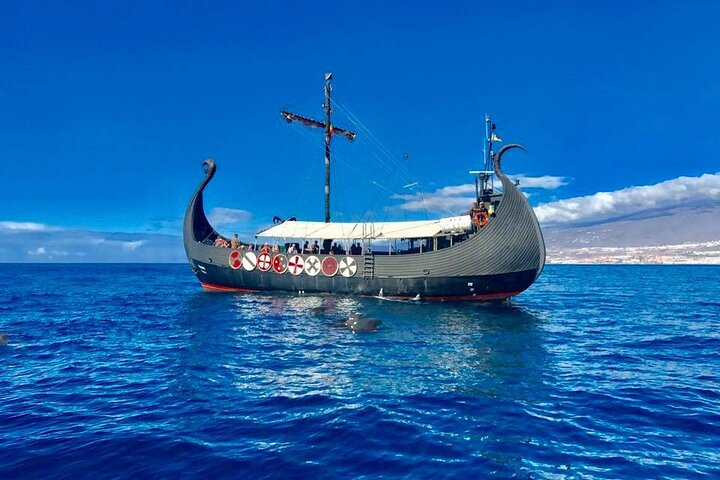 Tenerife Whale and Dolphin Watching + SWIM STOP