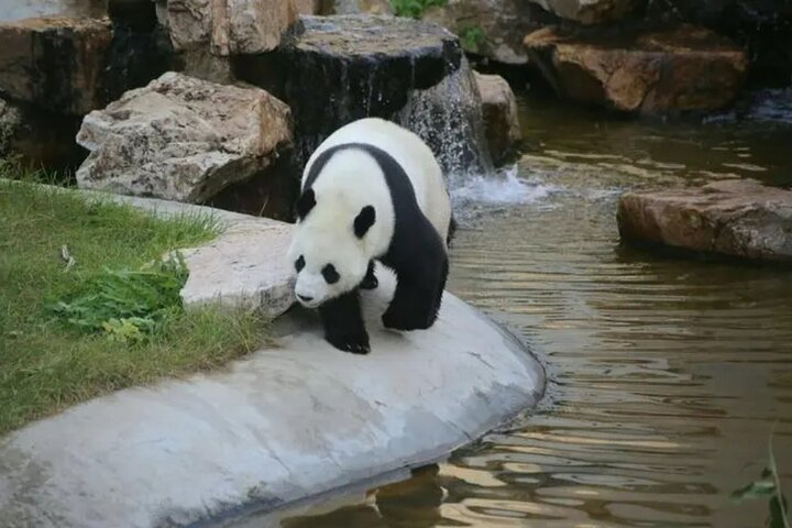 2-Day Shenyang City Private Tour in Your Way