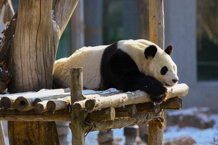 2-Day Shenyang City Private Tour in Your Way