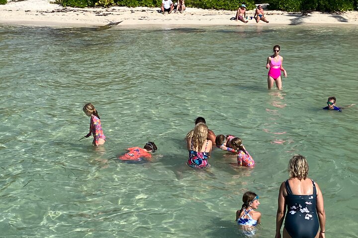 3-Stop Stingray City, Reef Snorkel & Starfish Point Tour
