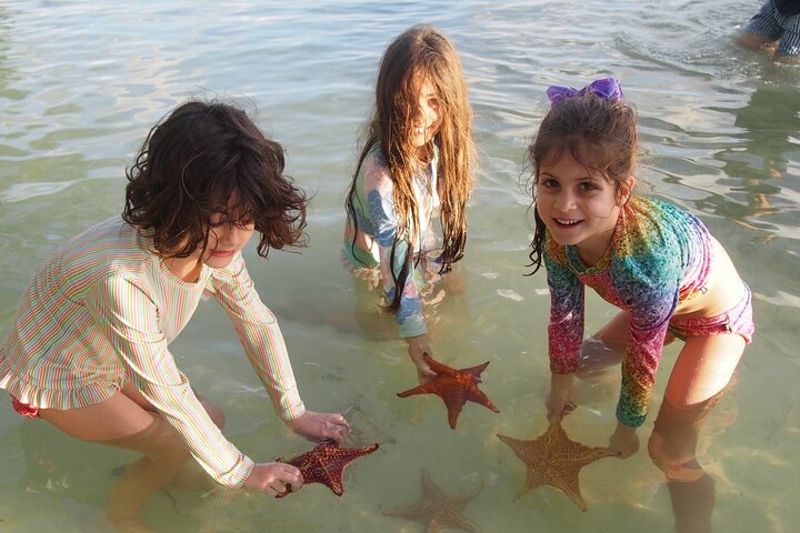 3-Stop Stingray City, Reef Snorkel & Starfish Point Tour
