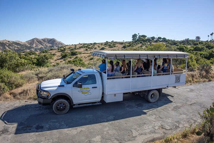 Catalina Island 2-Hour Inside Adventure Tour