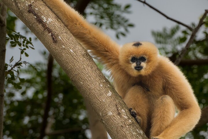 Tour of the Wildlife Rescue Center