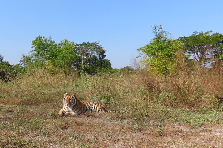 Tour of the Wildlife Rescue Center