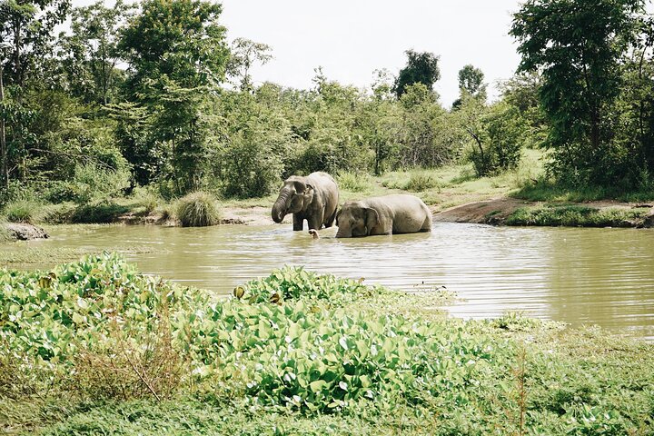 Tour of the Wildlife Rescue Center