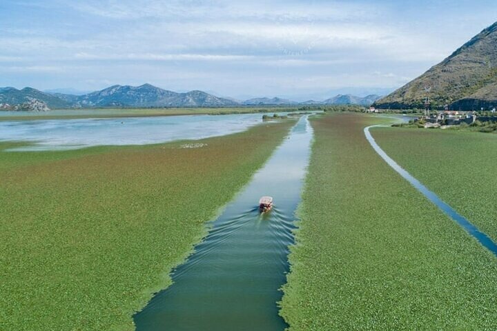 Virpazar Skadar Lake Boat Tour with Wildlife & Nature