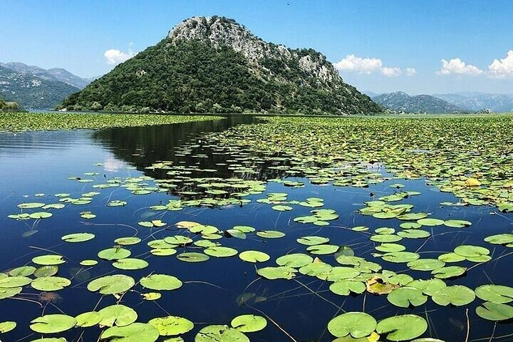 Virpazar Skadar Lake Boat Tour with Wildlife & Nature
