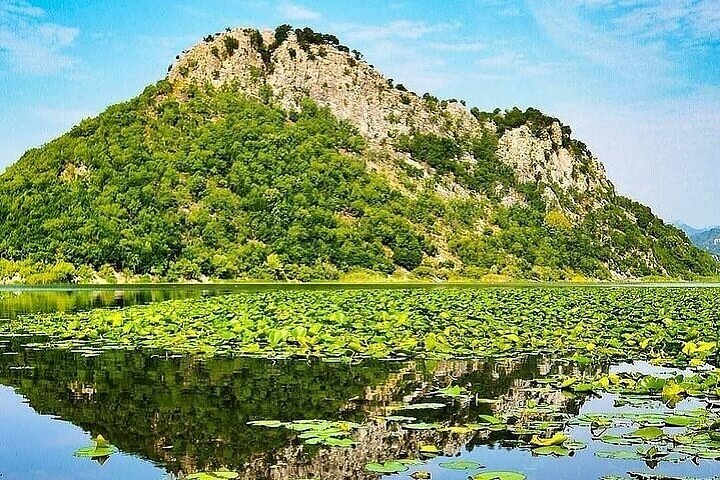 Virpazar Skadar Lake Boat Tour with Wildlife & Nature