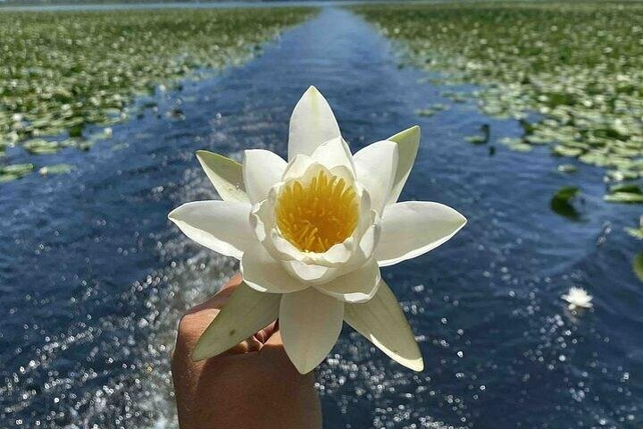 Virpazar Skadar Lake Boat Tour with Wildlife & Nature