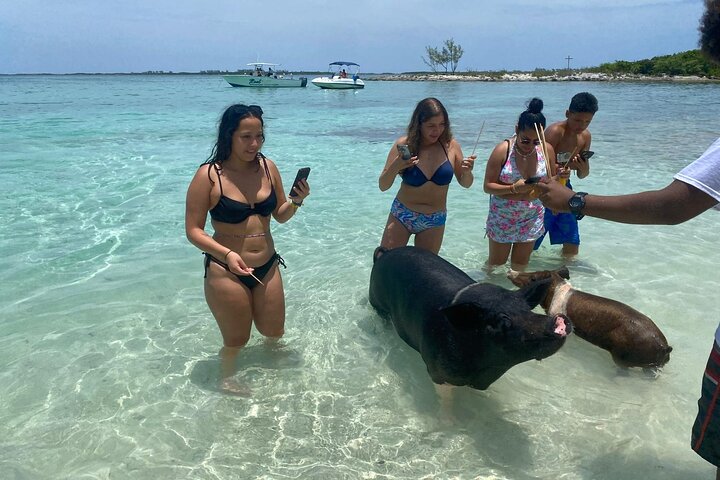 4hr Private Tour Island Hop Snorkel w/ Turtles & Sip Bahama Mamas
