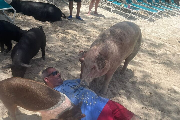 4hr Private Tour Island Hop Snorkel w/ Turtles & Sip Bahama Mamas