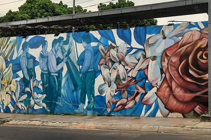 Walking Tour with a Local in Asuncion "The Mother of Cities"