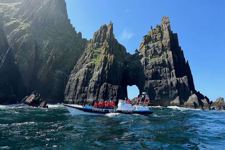 Dingle Boat Tours Wildlife RIB Adventure