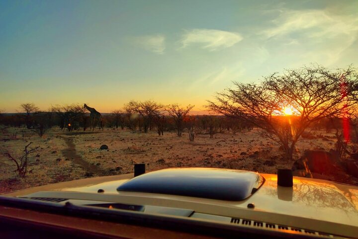 Chobe Sunrise Leopard and Lion Safari Tracking
