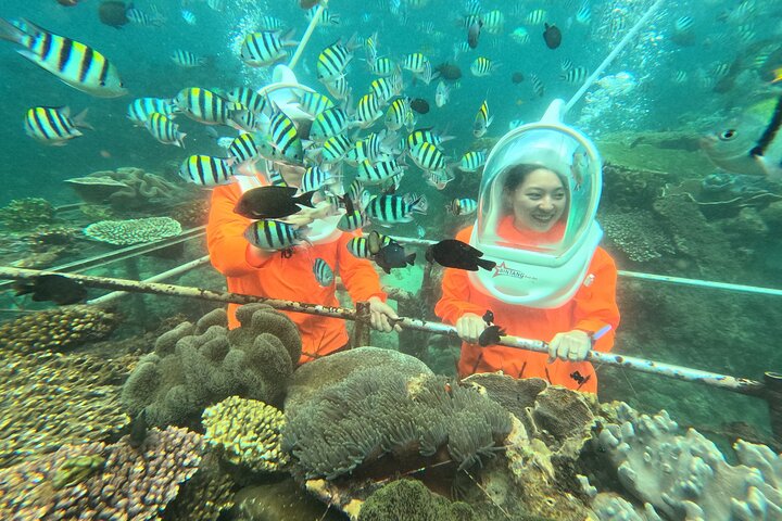 Bali Sea Walking Experience