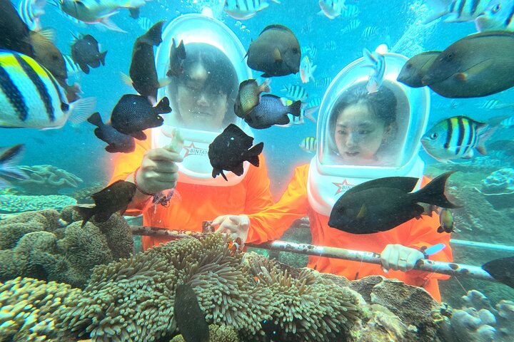 Bali Sea Walking Experience