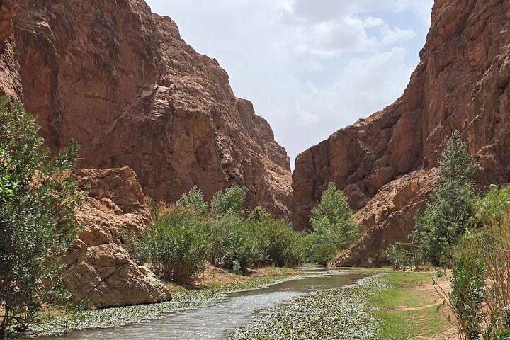 Roses Valley to Mgoune Valley Trek in kelaat magouna