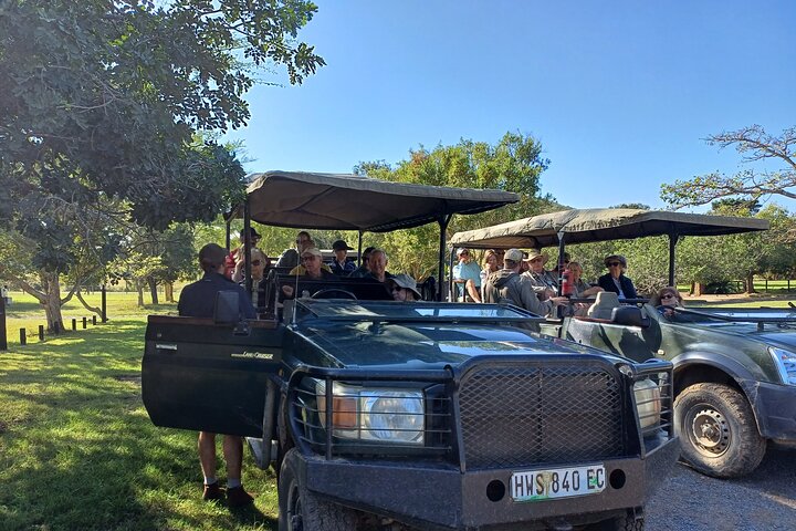 Addo Elephant Park Full day big 5 Safari